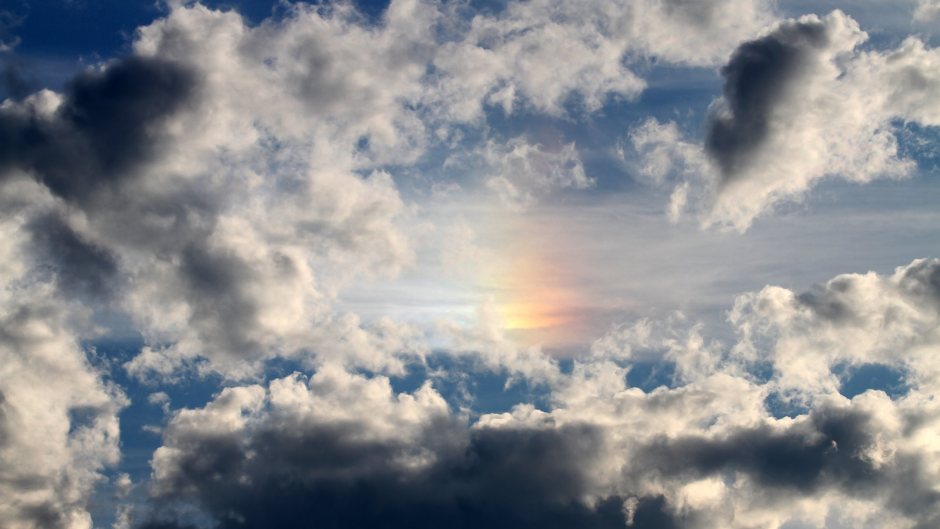 LEYU SPORTS中国官方网站-布莱顿控球细腻展现高质量配合，布莱顿球队老板