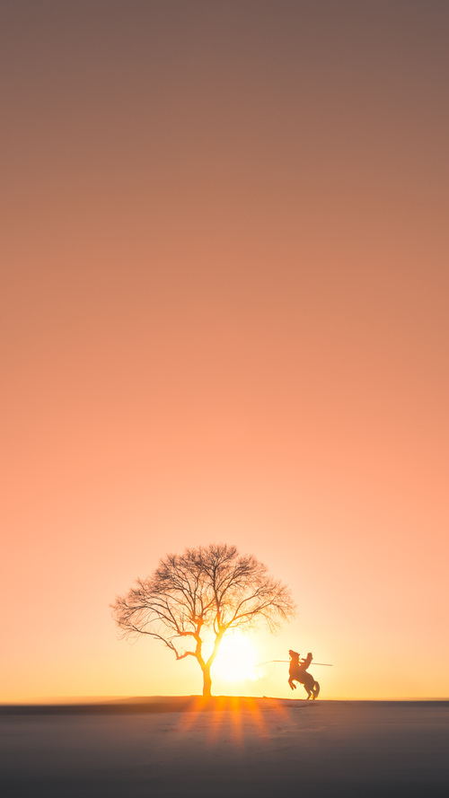 乐鱼（LEYU）体育-杨瀚森个人技术提升获得专家称赞，杨瀚宇是谁