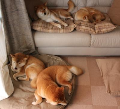 LEYU乐鱼体育官方网站-“胡利安·门德斯的突破与传球，助阿根廷美洲狮队攻守兼备”