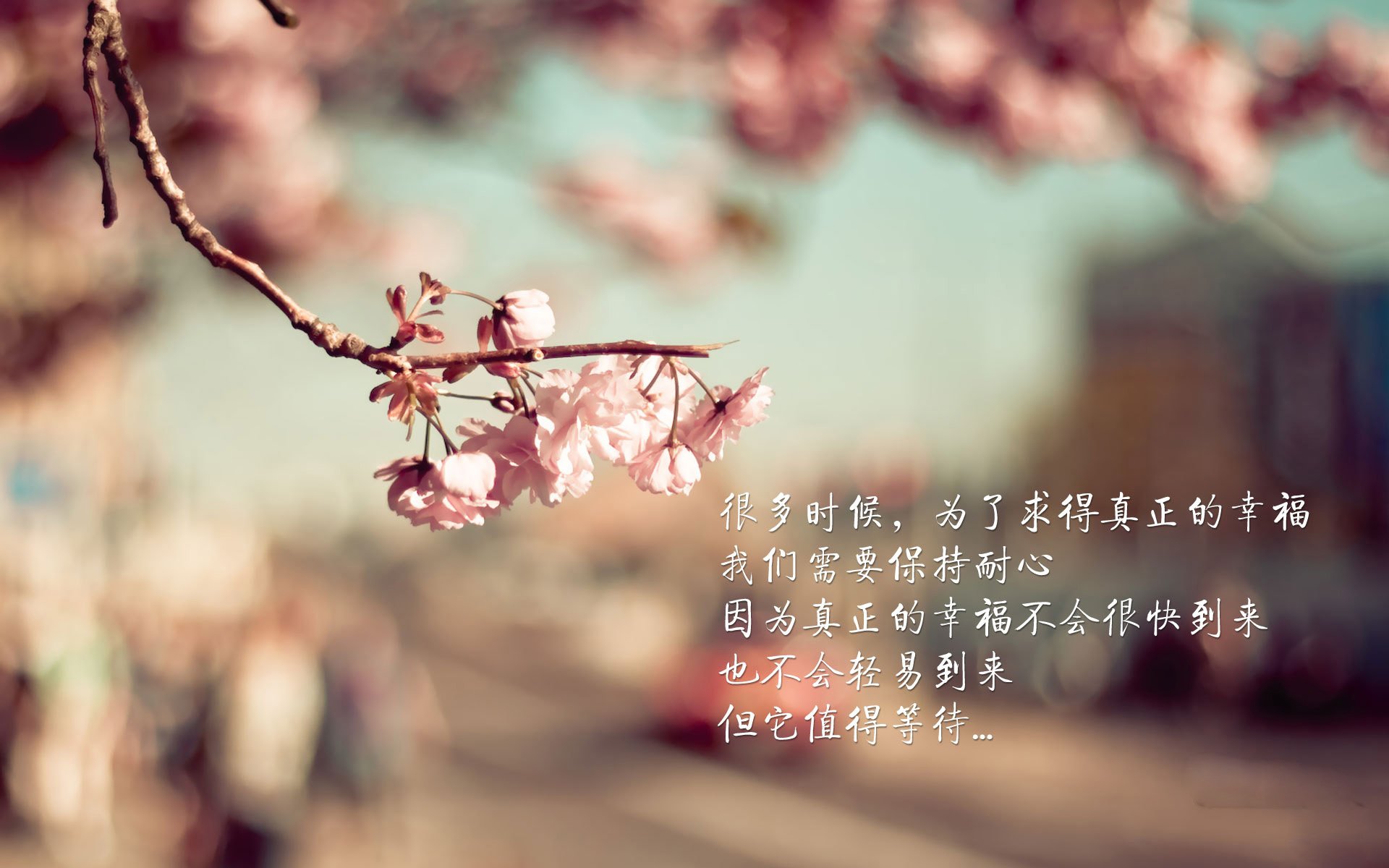 世界杯燃爆全场:精彩场面不停歇!,世界杯锦集