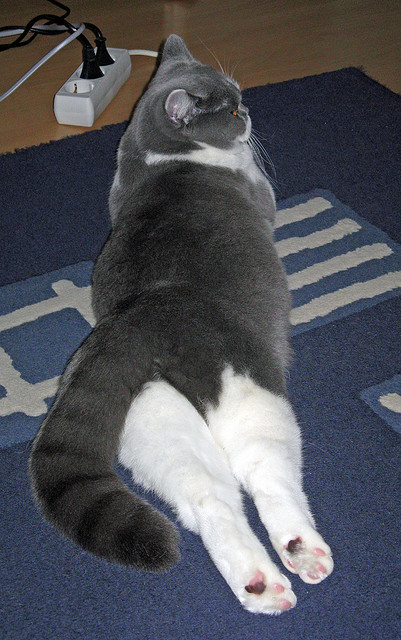 乐鱼（中国）体育官方网站-中国足球国家队守门员专项训练提升，中国国家足球队的守门员有哪些