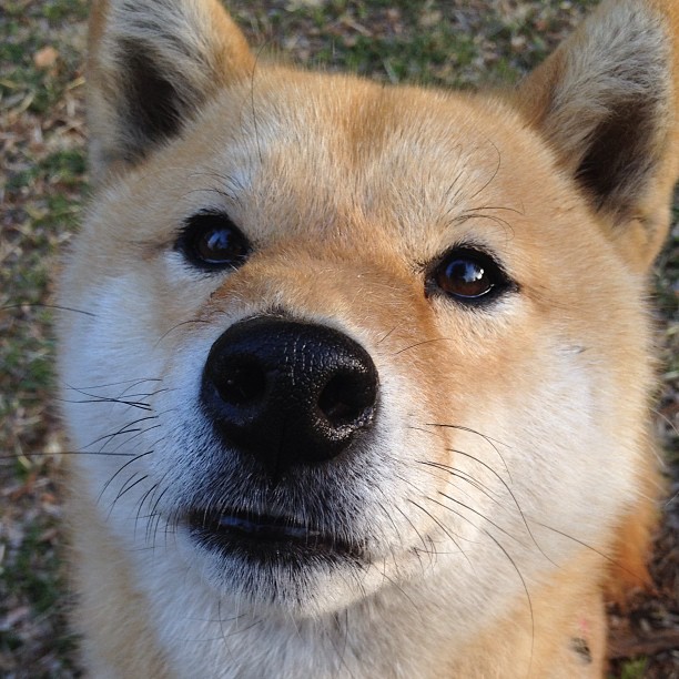 LEYU SPORTS中国官方网站-快船替补阵容表现抢眼主教练给予高度评价，快船队替补阵容