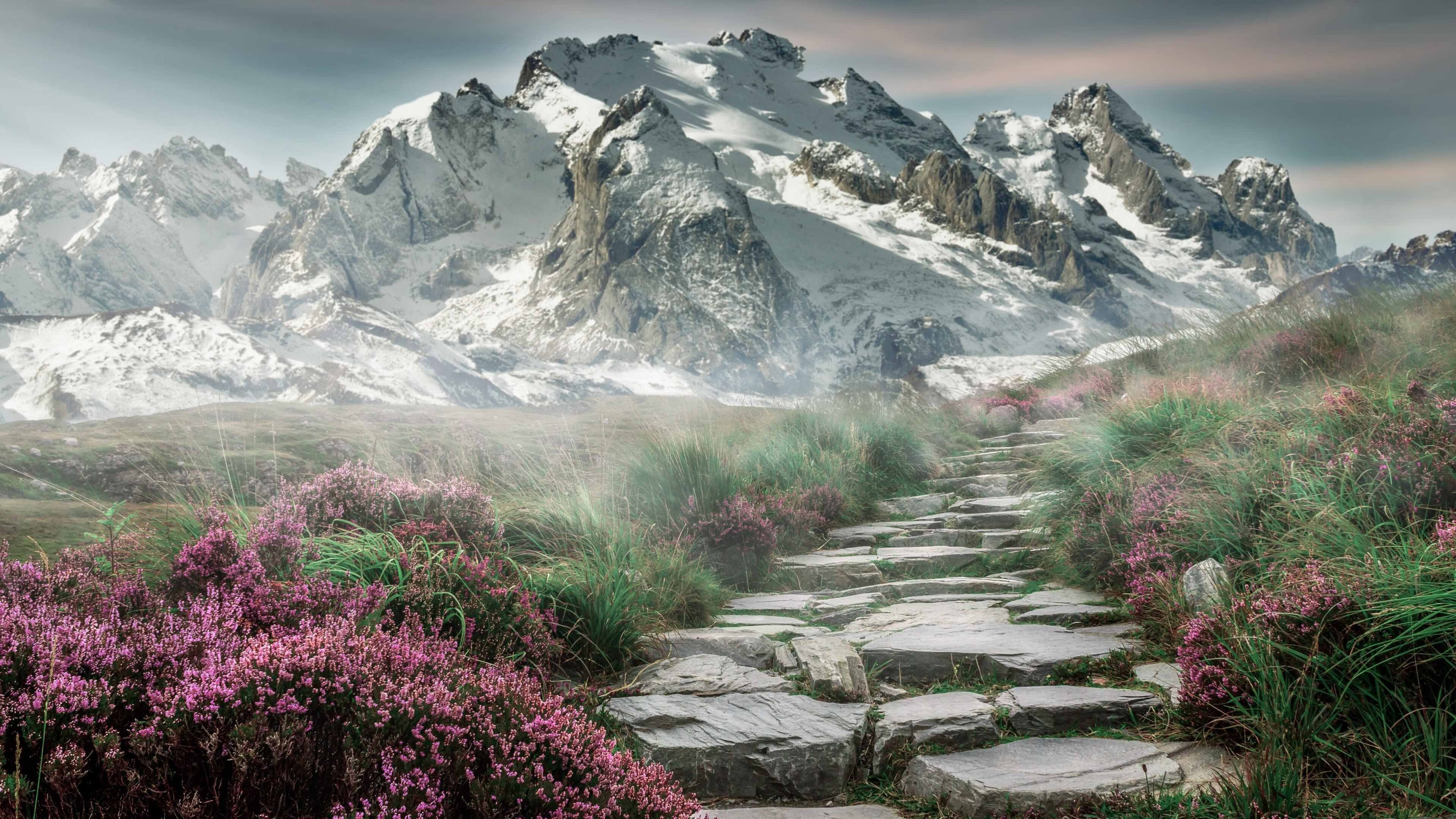 乐鱼体育平台app下载-英超蓝血豪门：冠绝全场的激烈碰撞，绰号蓝军的英超豪门